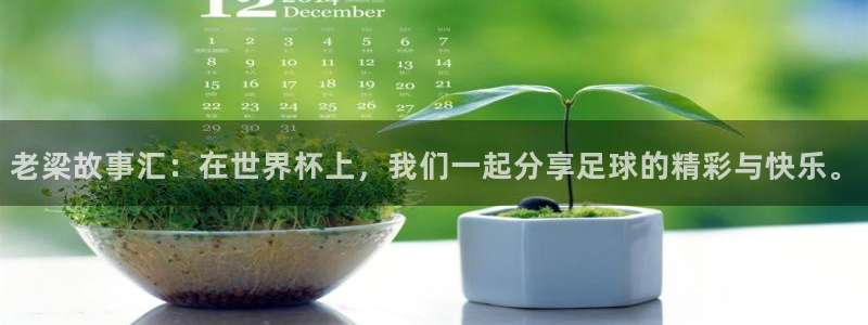 世界杯 2026：老梁故事汇：在世界杯上，我们一起分享足球的精彩与快乐。