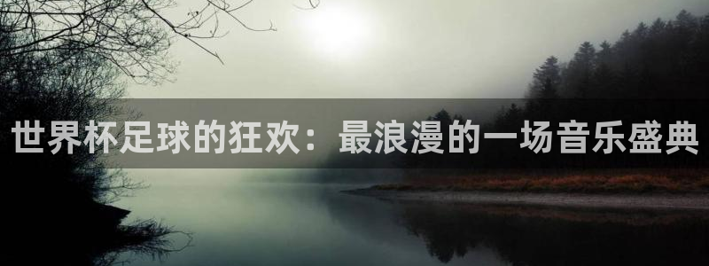 国际足联世界杯：世界杯足球的狂欢：最浪漫的一场音乐盛典