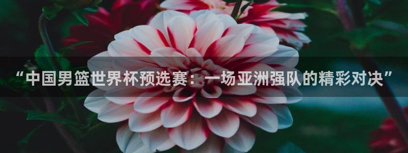 世界杯2026赛程：“中国男篮世界杯预选赛：一场亚洲强队的精彩对决”