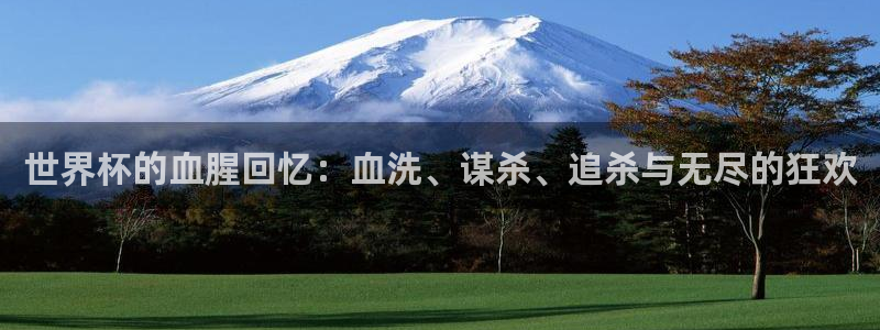 世界杯亚洲区预选赛：世界杯的血腥回忆：血洗、谋杀、追杀与无尽的狂欢