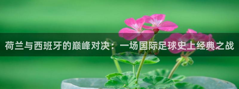亚洲杯比赛直播：荷兰与西班牙的巅峰对决：一场国际足球史上经典之战