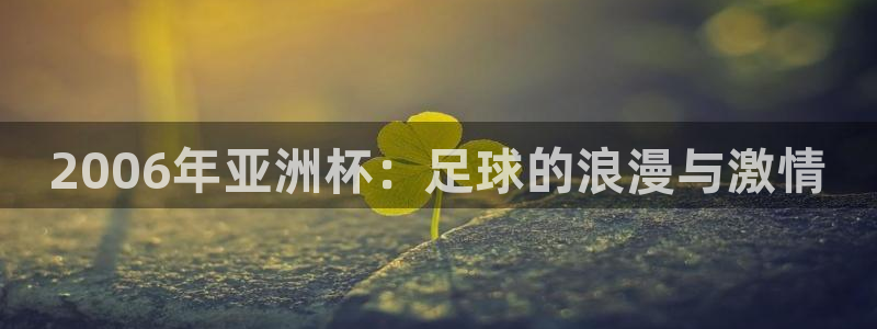 中国 世界杯：2006年亚洲杯：足球的浪漫与激情