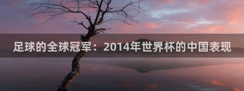 2026世界杯亚洲预选赛：足球的全球冠军：2014年世界杯的中国表现
