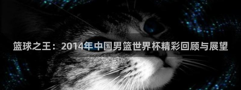 世界杯足球2026：篮球之王：2014年中国男篮世界杯精彩回顾与展望