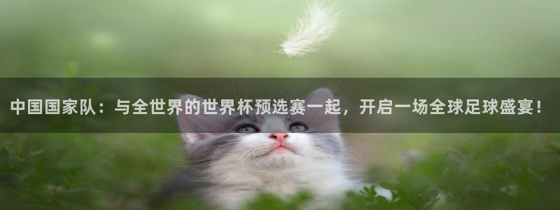 2026年世界杯赛程表时间：中国国家队：与全世界的世界杯预选赛一起，开启一场全球足球盛宴！