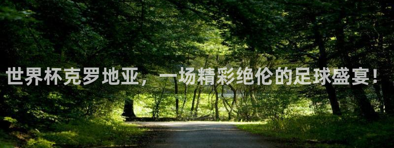 世界杯 直播：世界杯克罗地亚，一场精彩绝伦的足球盛宴！