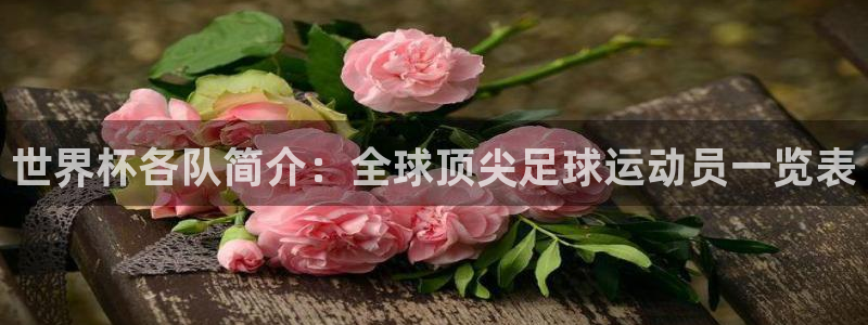 足球世界杯2026：世界杯各队简介：全球顶尖足球运动员一览表