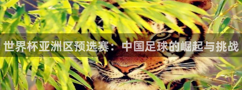 世预赛欧洲赛程表：世界杯亚洲区预选赛：中国足球的崛起与挑战